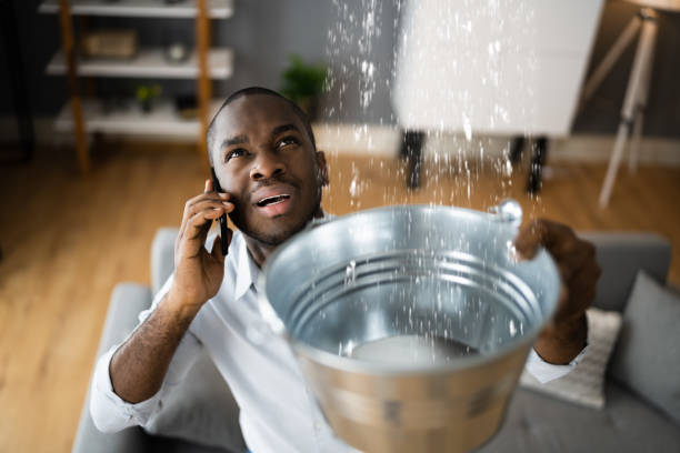Best 24/7 water damage repair  in La Mesilla, NM