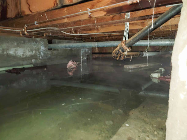 Professional Water damage restoration in NM