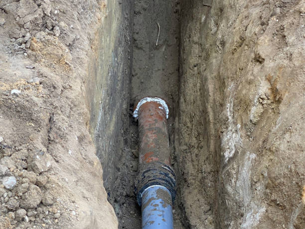 Best 24/7 water damage repair  in La Mesilla, NM