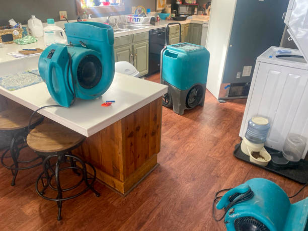 Best Professional water damage repair  in La Mesilla, NM