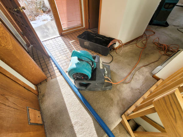 Best 24-hour water damage restoration  in La Mesilla, NM