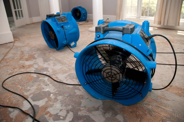 Best Fire Damage Restoration  in La Mesilla, NM