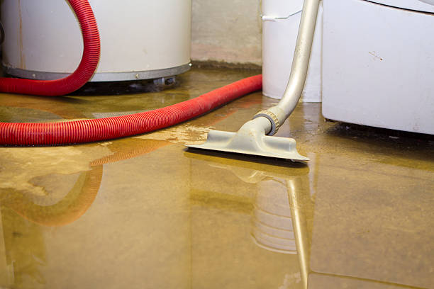 Best Residential water damage restoration  in La Mesilla, NM